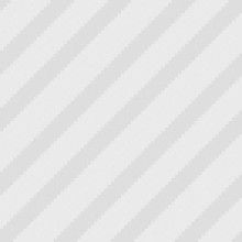  東莞大地裝飾材料商行 主營(yíng) 愛(ài)美家